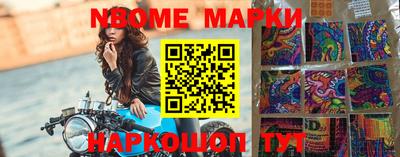 молекула духа Кингисепп