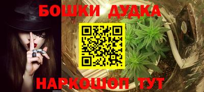 молекула духа Кингисепп
