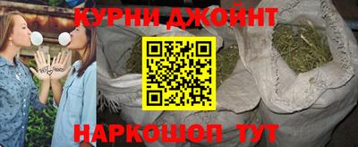 молекула духа Кингисепп
