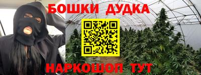 молекула духа Кингисепп