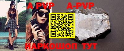 молекула духа Кингисепп