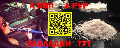молекула духа Кингисепп