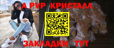 молекула духа Кингисепп