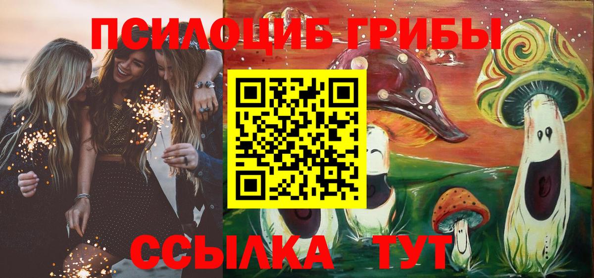 Галлюциногенные грибы GOLDEN TEACHER  Вход с VPN  Черногорск 